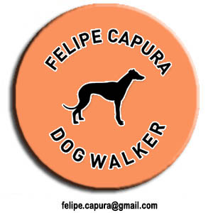 Dog Walker Felipe Capura